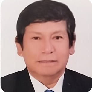 Ing. Ricardo Castillo